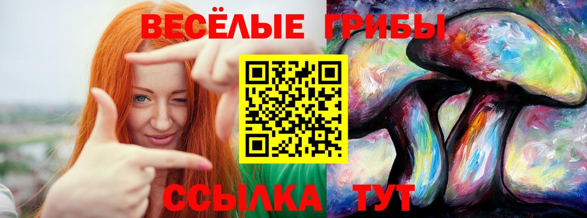 Псилоцибиновые грибы ЛСД  Галлюциногенные грибы GOLDEN TEACHER  Вход с VPN  Южно-Сахалинск 